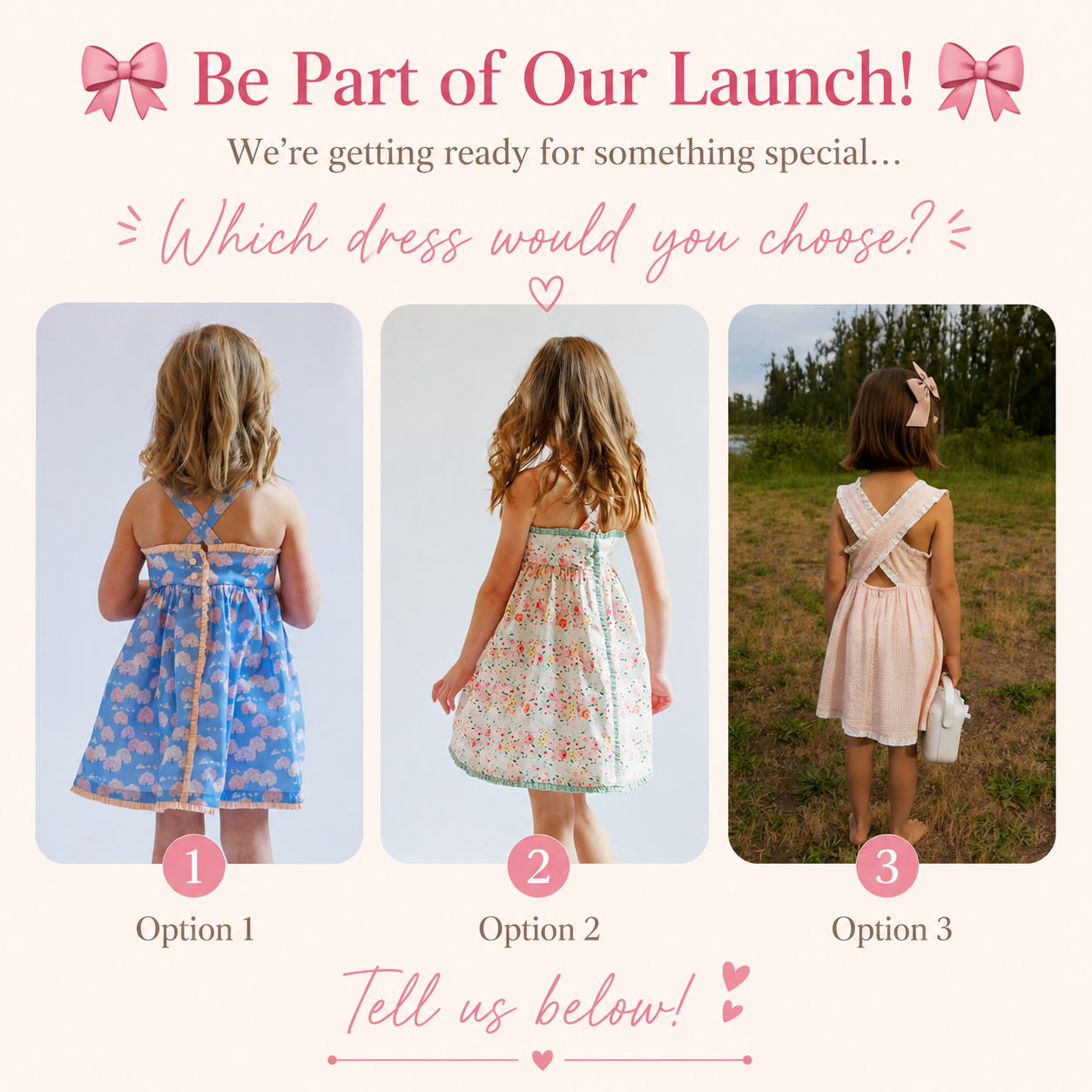 Which Dress?