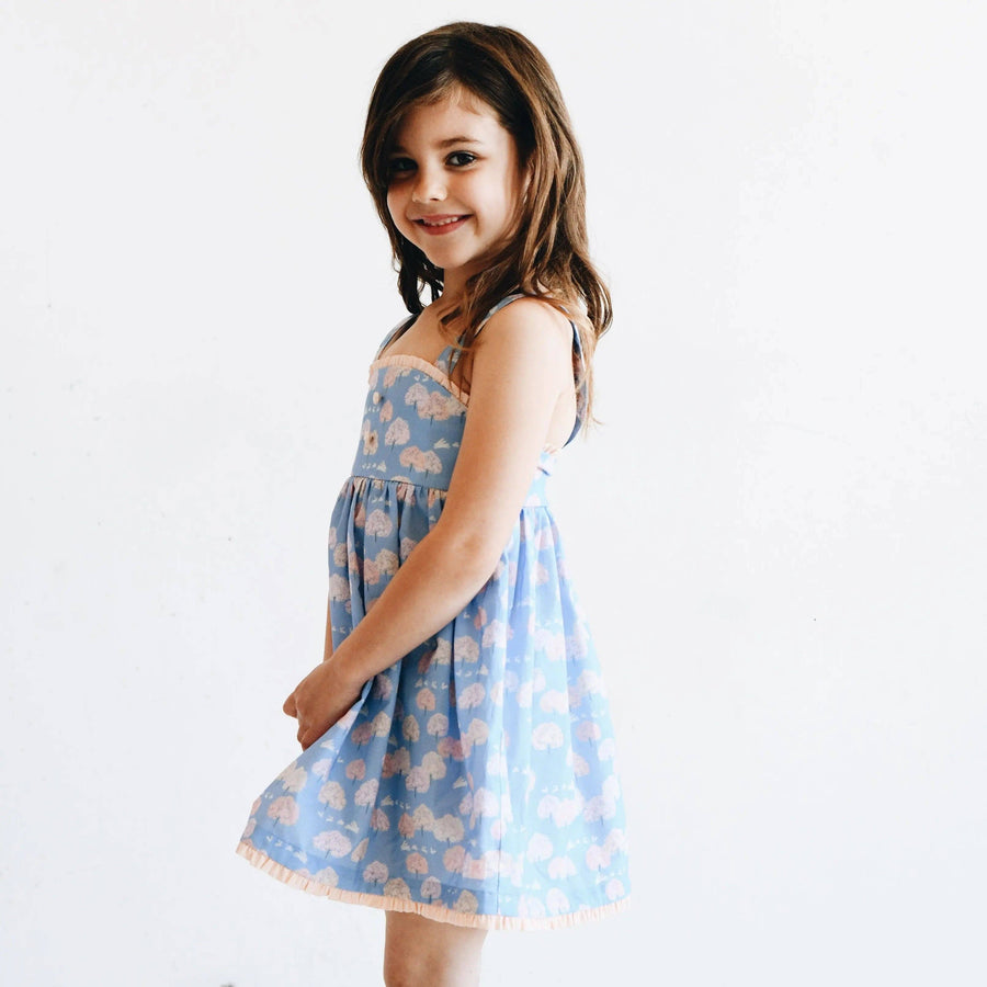 Haille Dress - Central Park