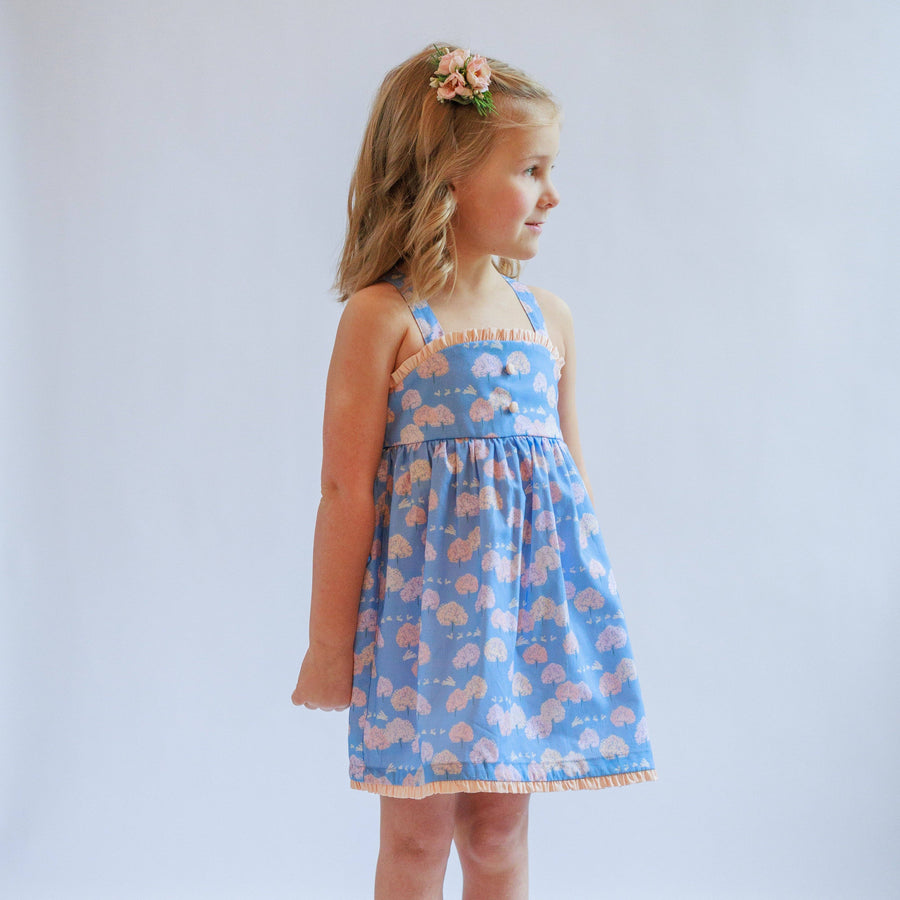 Haille Dress - Central Park